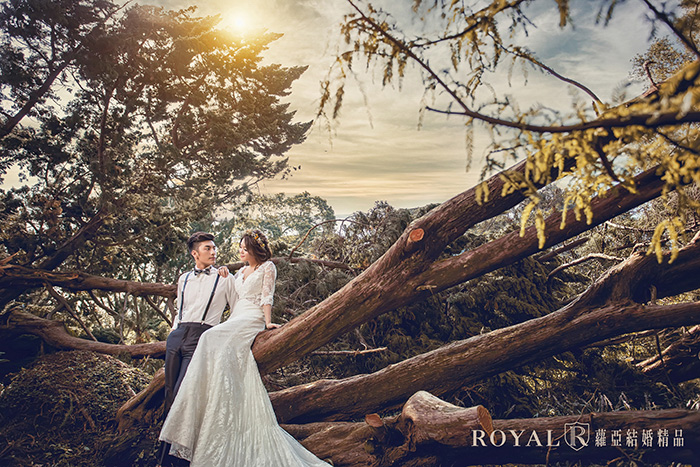 婚紗,婚紗照,婚紗照風格,婚紗攝影,婚紗推薦,台北婚紗,台北婚紗推薦,蘿亞婚紗照,蘿亞,蘿亞婚紗,蘿亞結婚精品,台北蘿亞