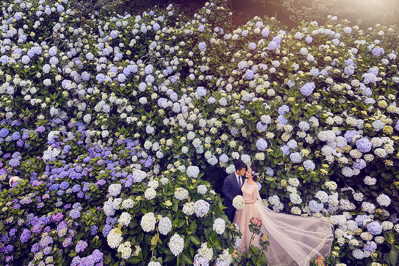 婚紗照-婚紗攝影-拍婚紗-故事感婚紗照-台北-推薦-蘿亞婚紗-繡球花戀